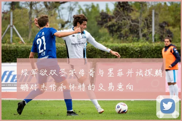 绿军欲双签字母哥与墨菲并试探鹈鹕对杰伦和怀特的交易意向