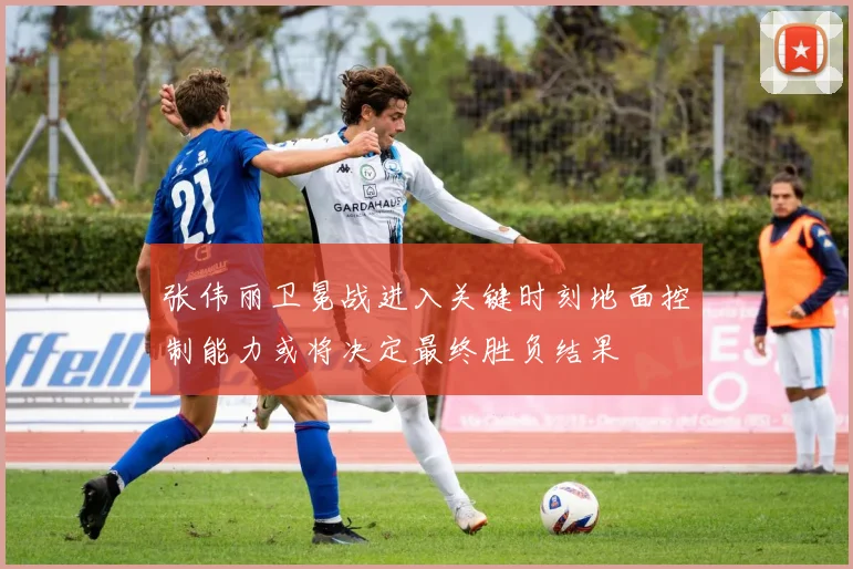 张伟丽卫冕战进入关键时刻地面控制能力或将决定最终胜负结果